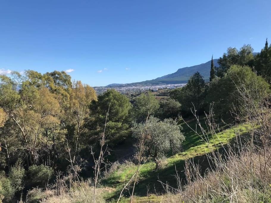 Appartement Penthouse Apartment, Cortijo Fruitful Hills Málaga